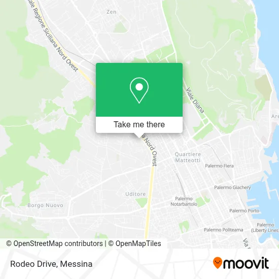 Rodeo Drive map