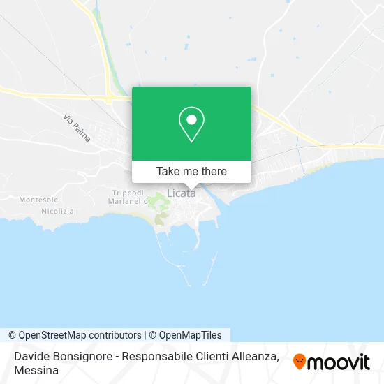 Davide Bonsignore - Responsabile Clienti Alleanza map