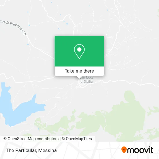 The Particular map