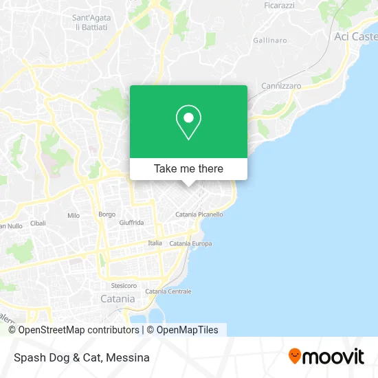Spash Dog & Cat map