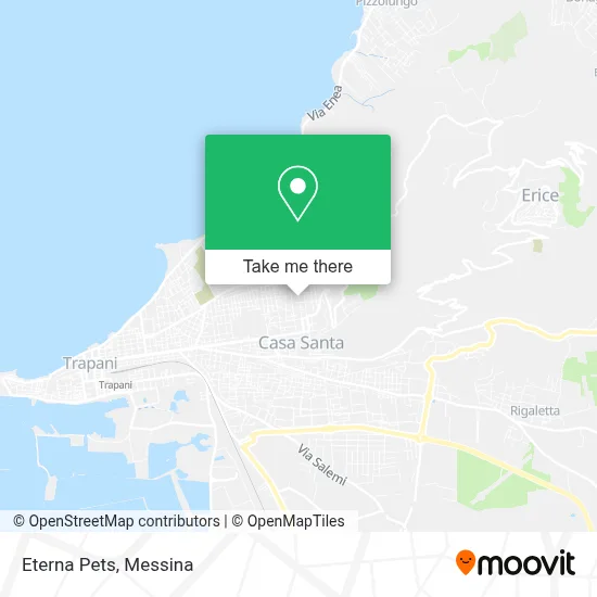 Eterna Pets map