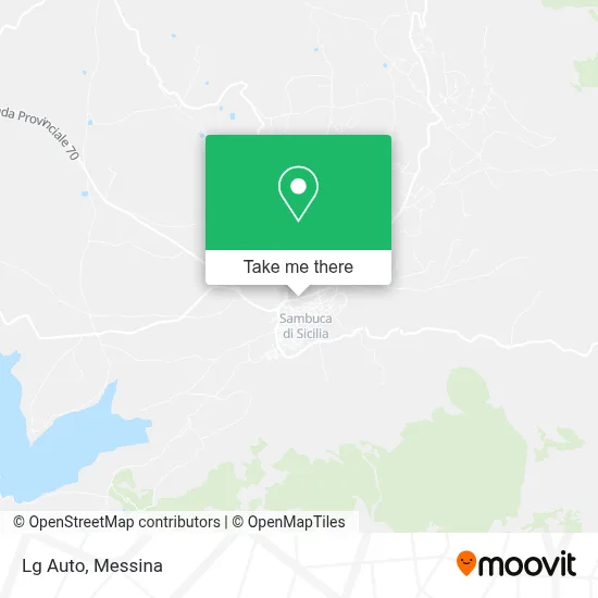 Lg Auto map