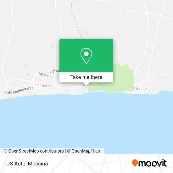 DS Auto map