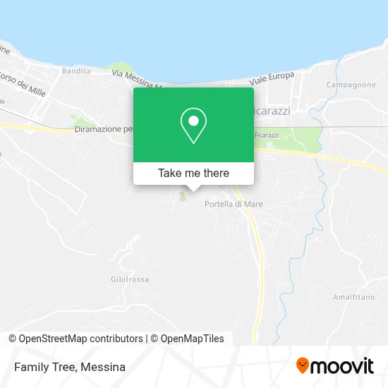 Family Tree map