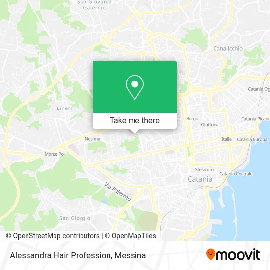 Alessandra Hair Profession map