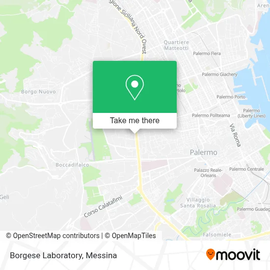Borgese Laboratory map