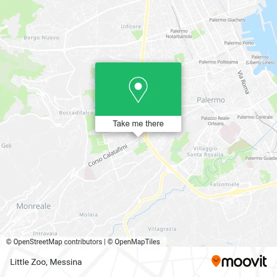 Little Zoo map