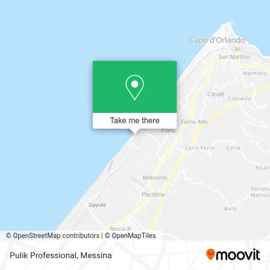 Pulik Professional map