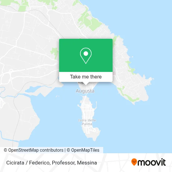 Cicirata / Federico, Professor map