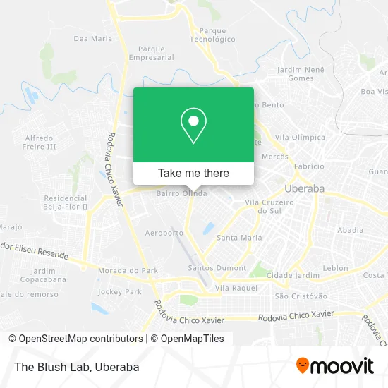 The Blush Lab map