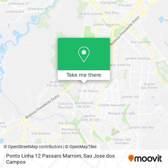 Ponto Linha 12 Passaro Marrom map