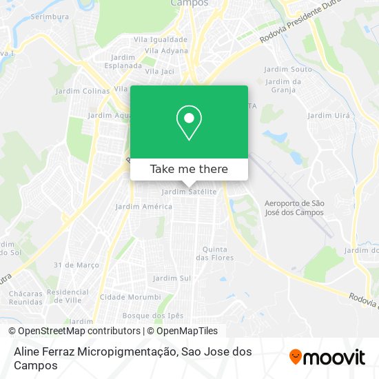 Aline Ferraz Micropigmentação map