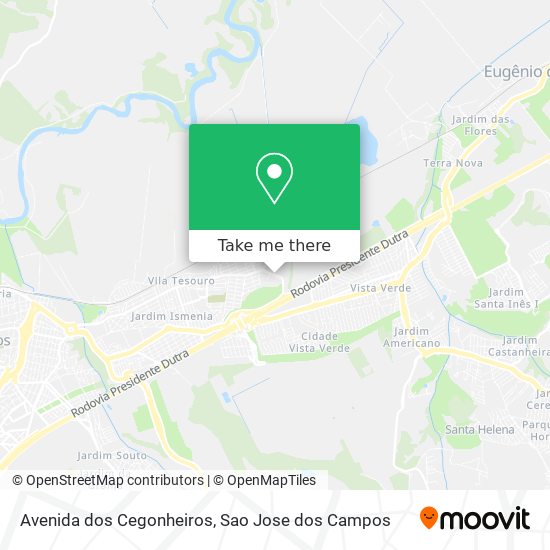 Avenida dos Cegonheiros map