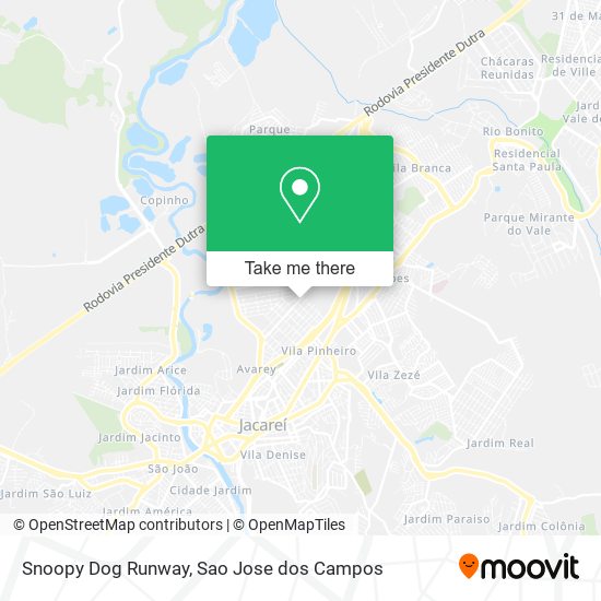 Snoopy Dog Runway map
