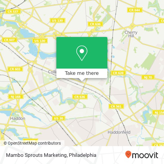 Mambo Sprouts Marketing map