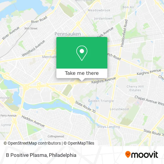 B Positive Plasma map