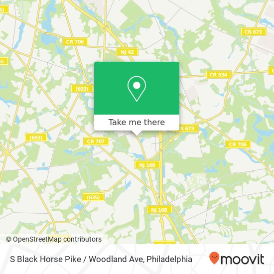 S Black Horse Pike / Woodland Ave map