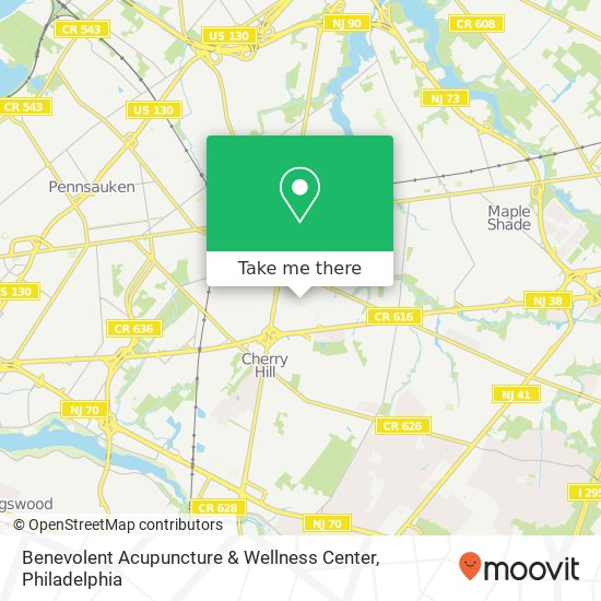 Benevolent Acupuncture & Wellness Center map