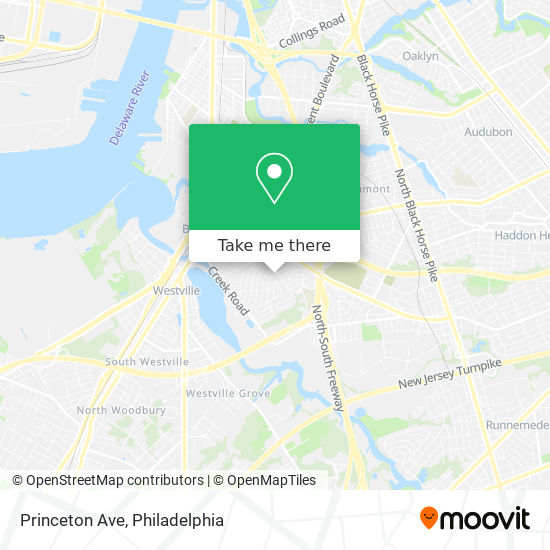 Princeton Ave map