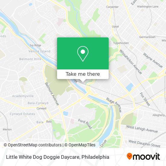 Little White Dog Doggie Daycare map