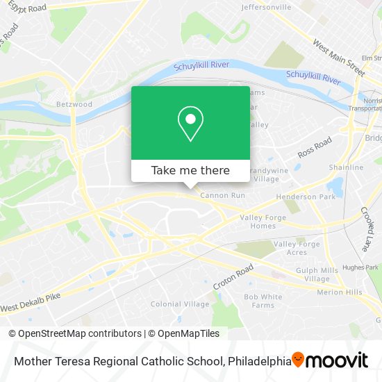 Mother Teresa Regional Catholic School map