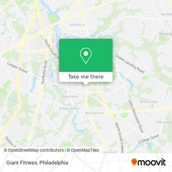 Giant Fitness map