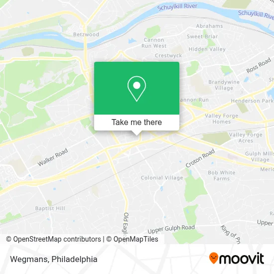Wegmans map