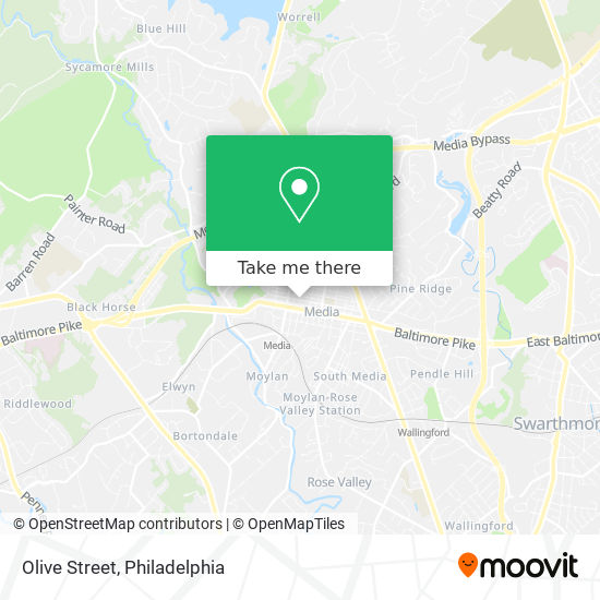 Olive Street map