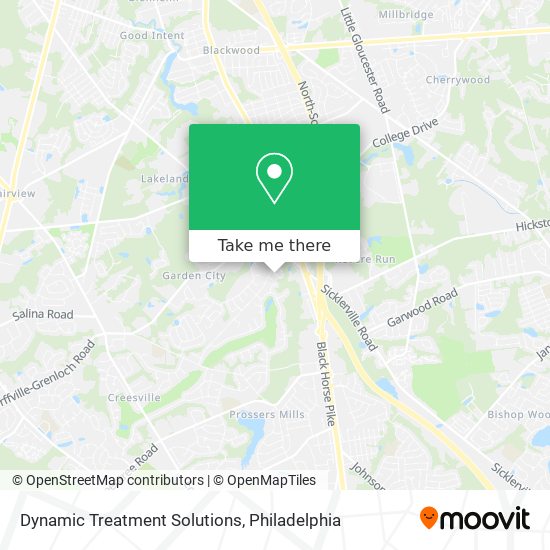 Dynamic Treatment Solutions map