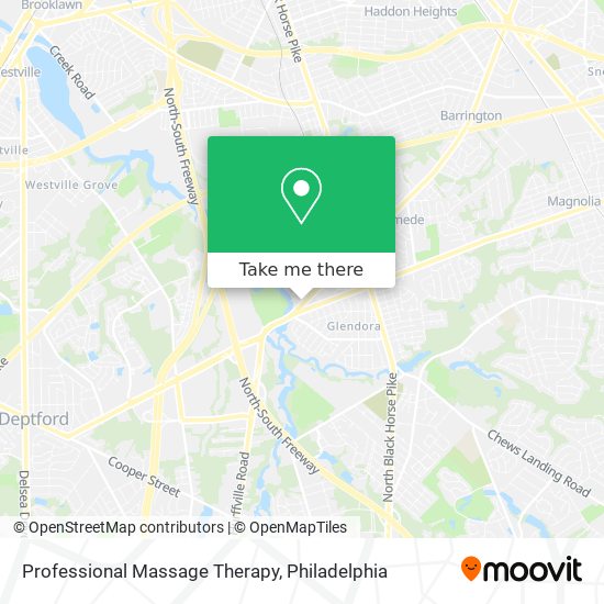 Professional Massage Therapy map