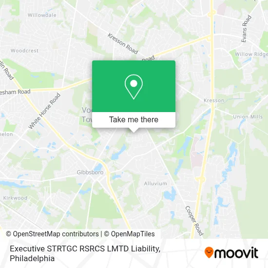 Executive STRTGC RSRCS LMTD Liability map
