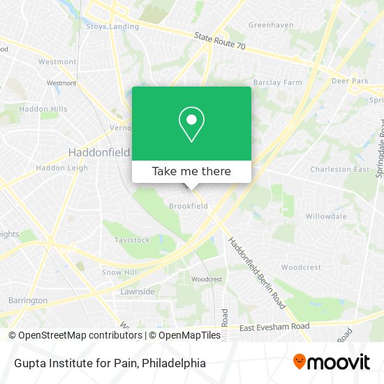 Gupta Institute for Pain map