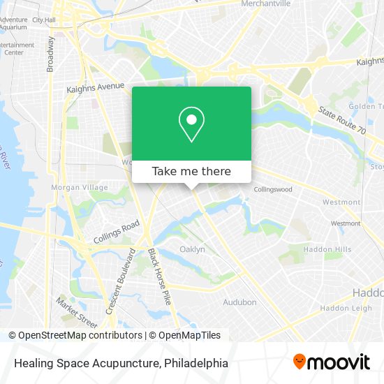 Healing Space Acupuncture map