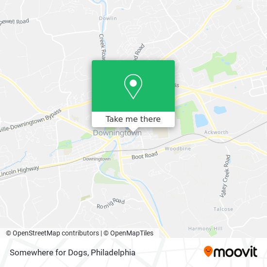 Somewhere for Dogs map