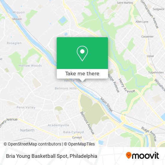 Bria Young Basketball Spot map