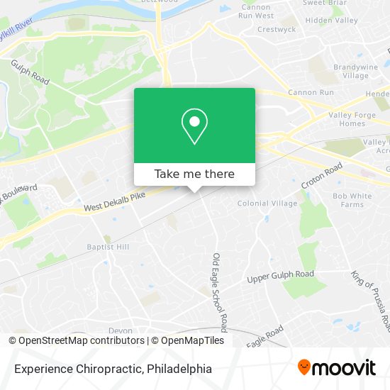 Experience Chiropractic map