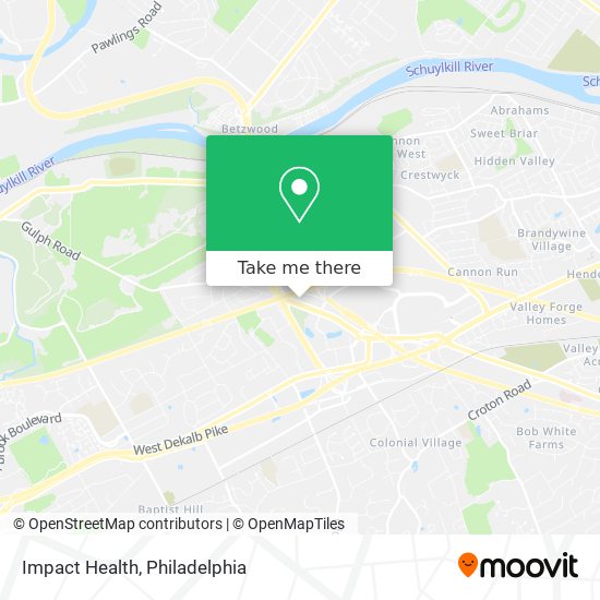 Impact Health map