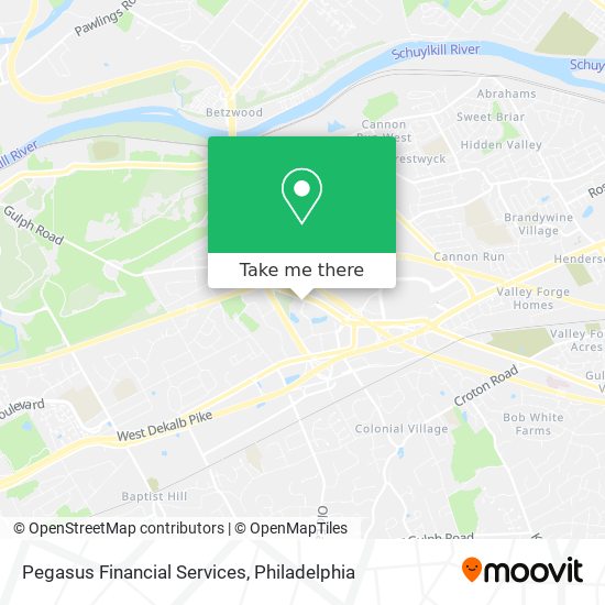 Pegasus Financial Services map