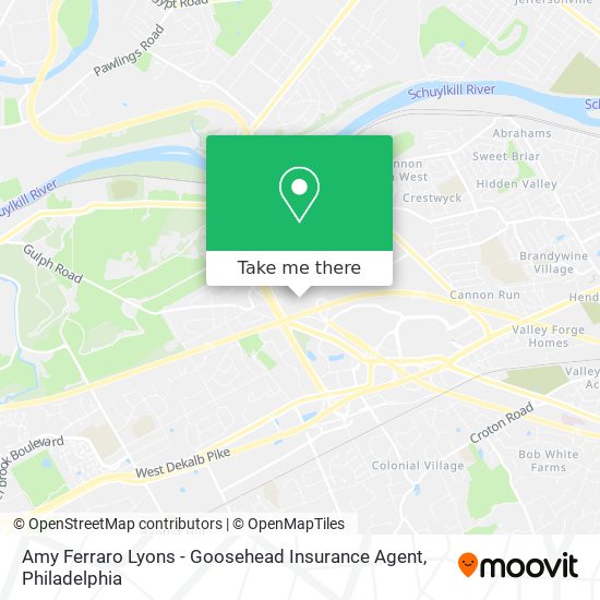 Amy Ferraro Lyons - Goosehead Insurance Agent map