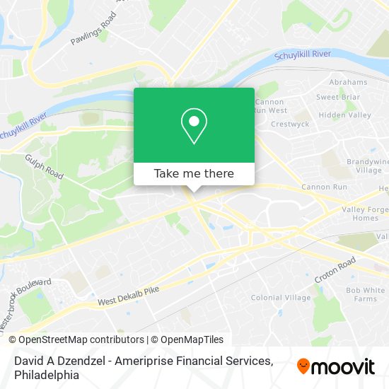 David A Dzendzel - Ameriprise Financial Services map