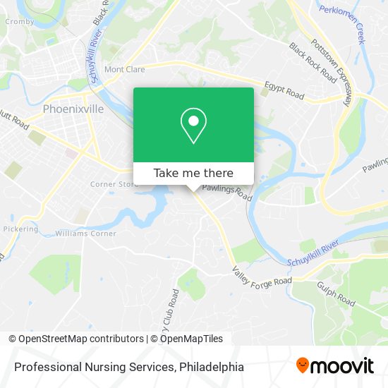 Mapa de Professional Nursing Services