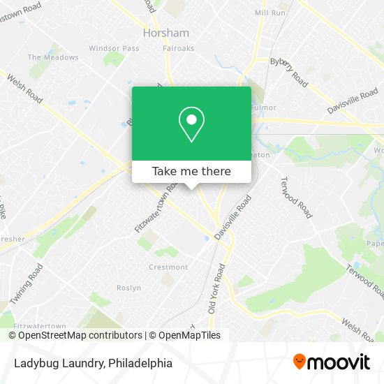 Ladybug Laundry map