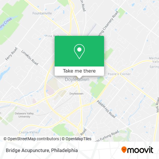Bridge Acupuncture map
