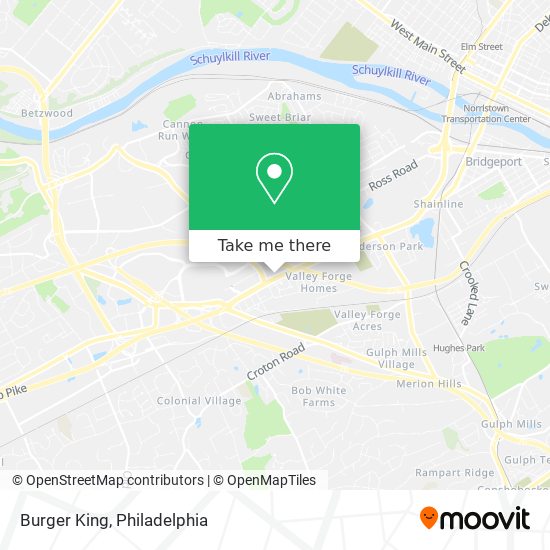 Burger King map