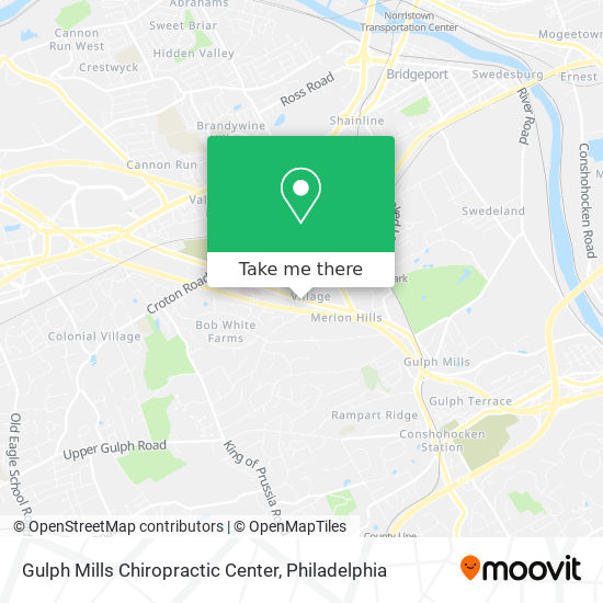 Mapa de Gulph Mills Chiropractic Center