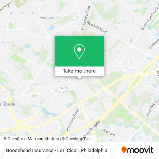 Goosehead Insurance - Lori Cicali map