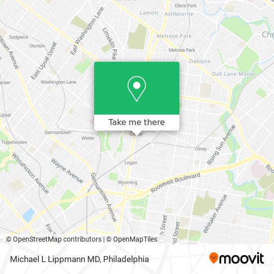 Michael L Lippmann MD map