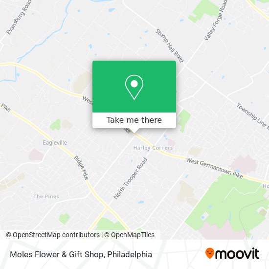 Moles Flower & Gift Shop map