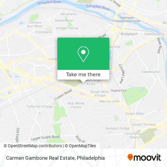 Carmen Gambone Real Estate map