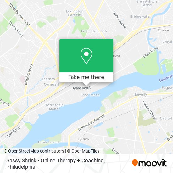 Sassy Shrink - Online Therapy + Coaching map